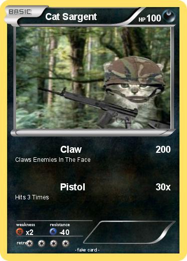 Pokemon Cat Sargent