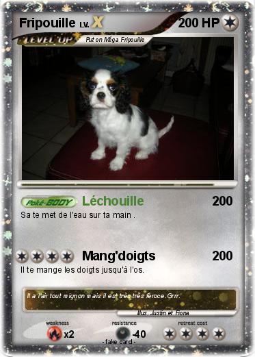 Pokemon Fripouille