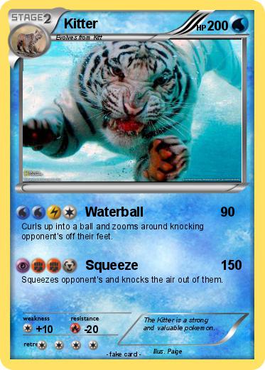 Pokemon Kitter