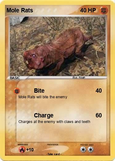Pokemon Mole Rats
