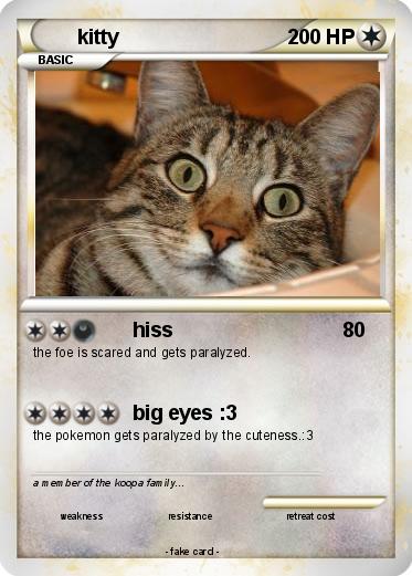 Pokemon kitty