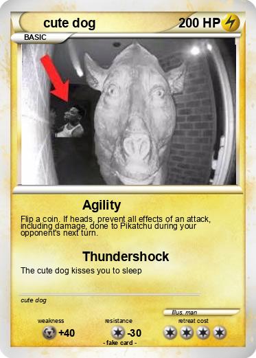 Pokemon cute dog