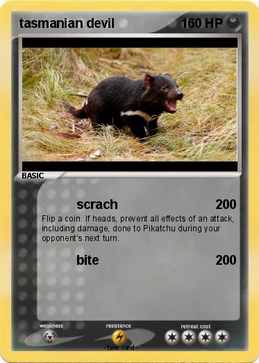 Pokemon tasmanian devil
