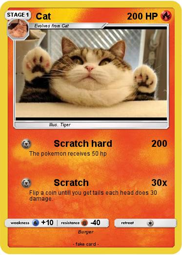 Pokemon Cat
