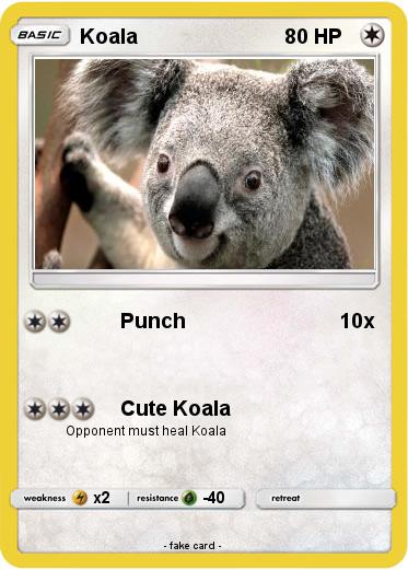Pokemon Koala