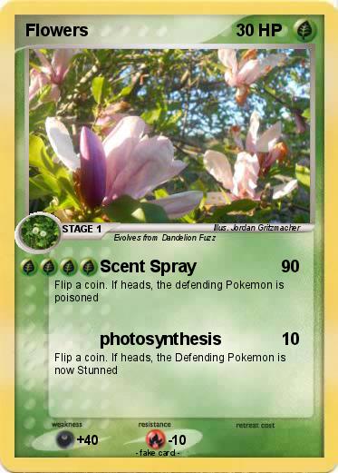 Pokemon Flowers