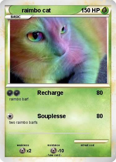 Pokemon raimbo cat