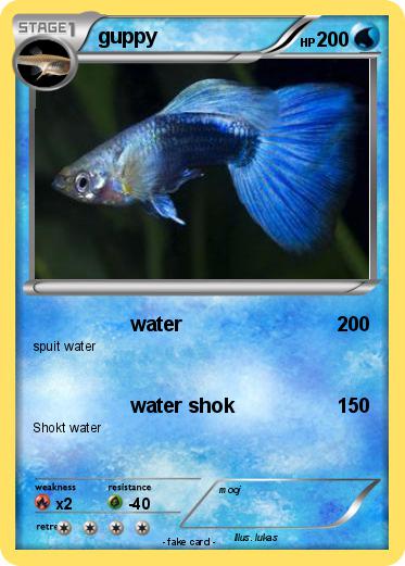 Pokemon guppy
