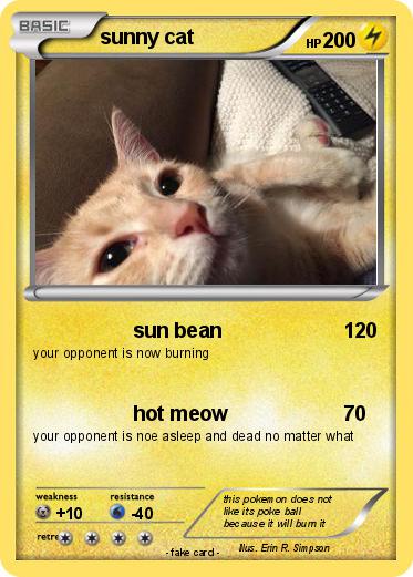 Pokemon sunny cat