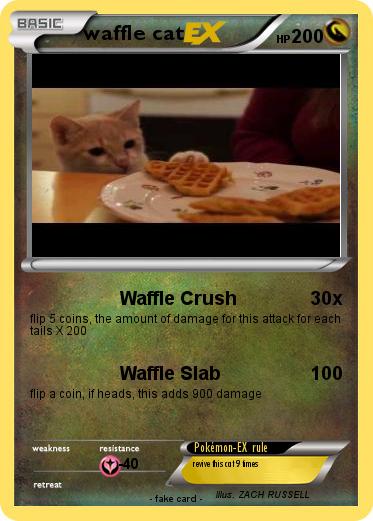 Pokemon waffle cat