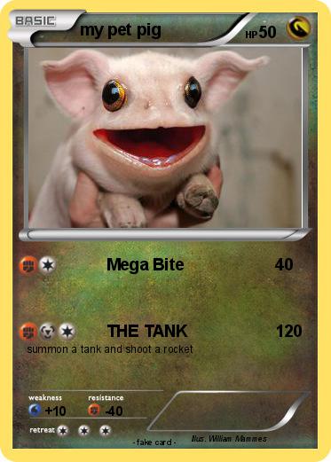Pokemon my pet pig