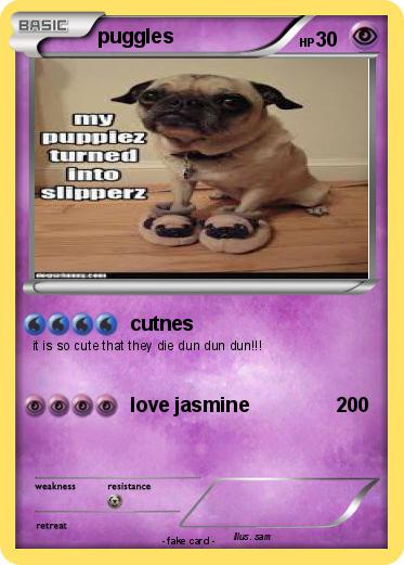 Pokemon puggles