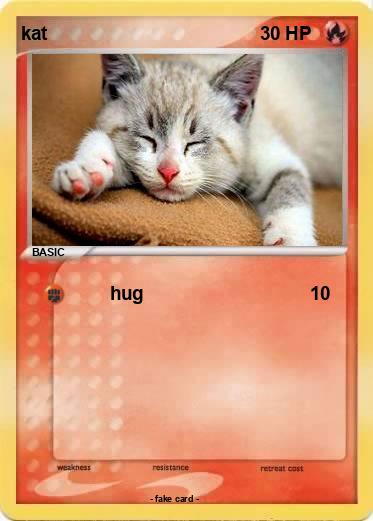 Pokemon kat
