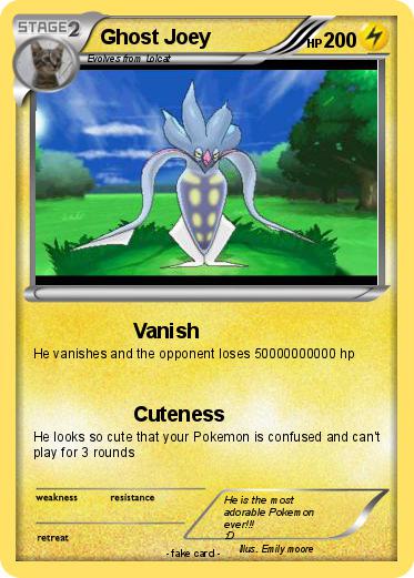 Pokemon Ghost Joey
