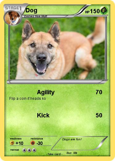 Pokemon Dog