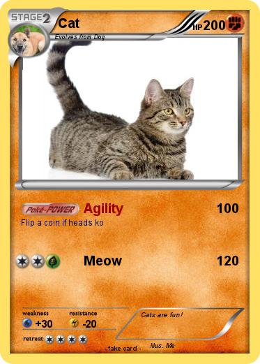 Pokemon Cat