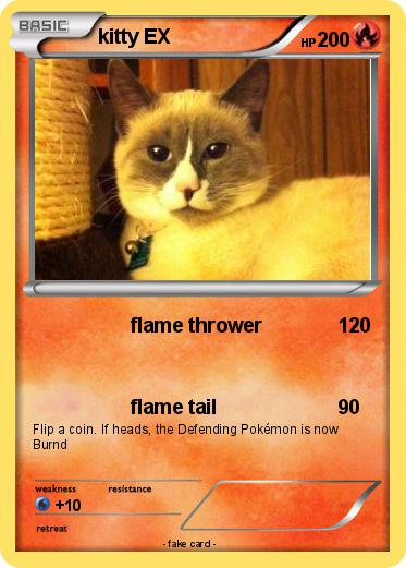 Pokemon kitty EX