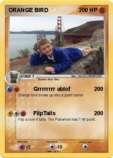 Pokemon ORANGE BIRD