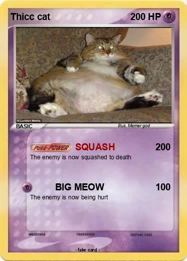 Pokemon Thicc cat