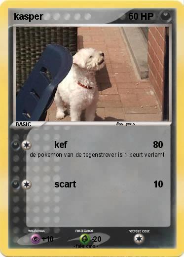 Pokemon kasper