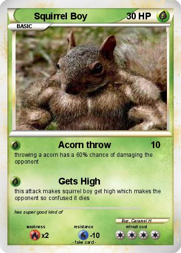 Pokemon Squirrel Boy