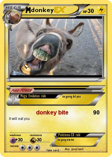 Pokemon donkey