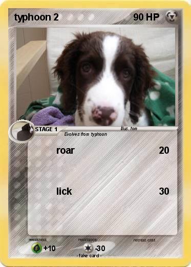 Pokemon typhoon 2