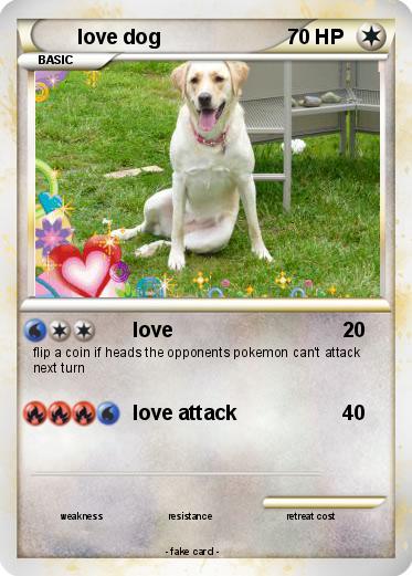 Pokemon love dog