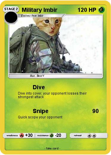 Pokemon Military Imbir