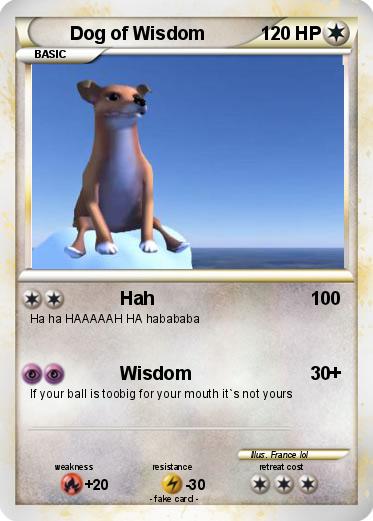 Pokemon Dog of Wisdom