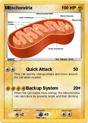 Pokemon Mitochondria