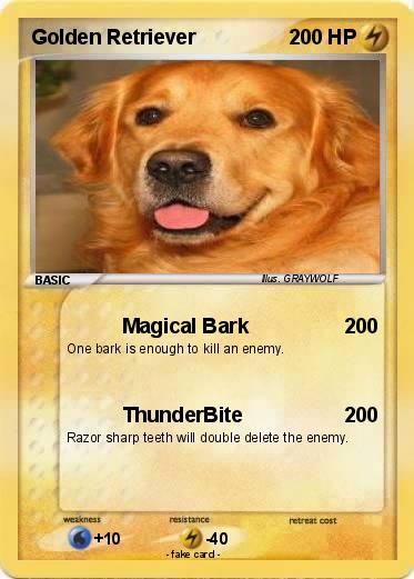 Pokemon Golden Retriever