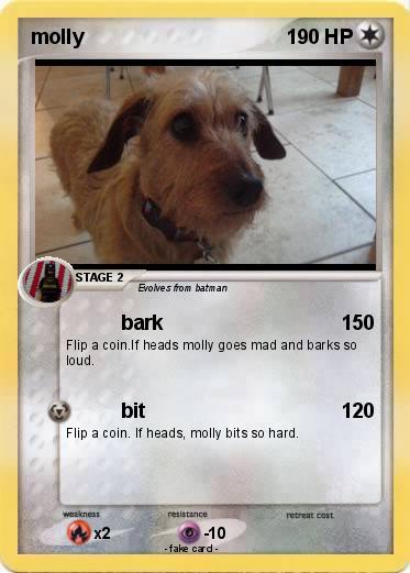 Pokemon molly