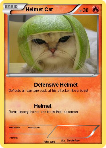 Pokemon Helmet Cat