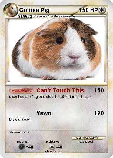 Pokemon Guinea Pig
