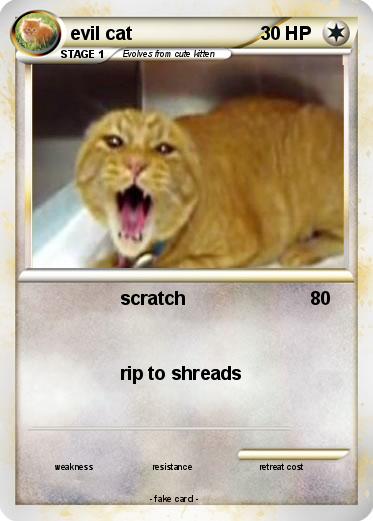 Pokemon evil cat