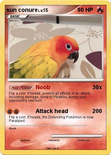Pokemon sun conure