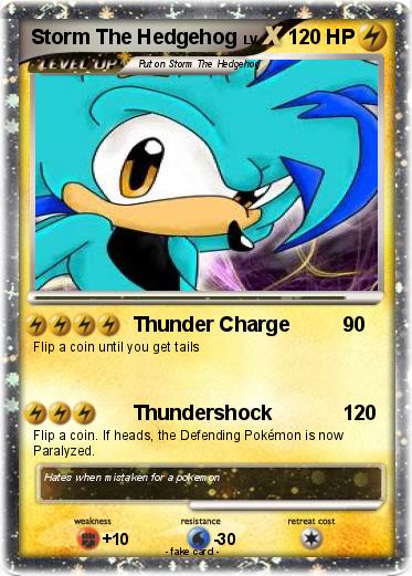 Pokemon Storm The Hedgehog