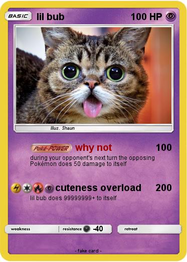 Pokemon lil bub