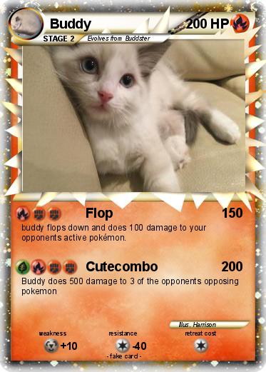 Pokemon Buddy