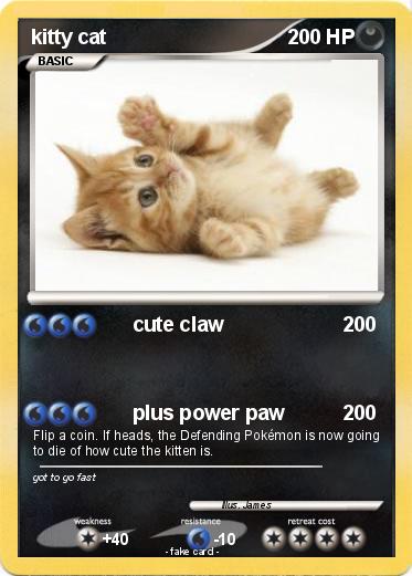 Pokemon kitty cat