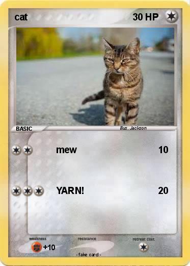 Pokemon cat