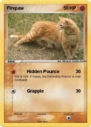 Pokemon Firepaw