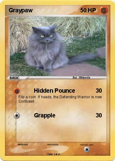 Pokemon Graypaw