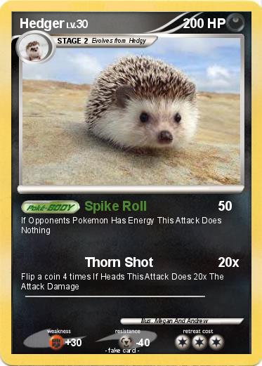 Pokemon Hedger
