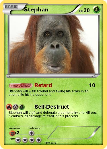 Pokemon Stephan