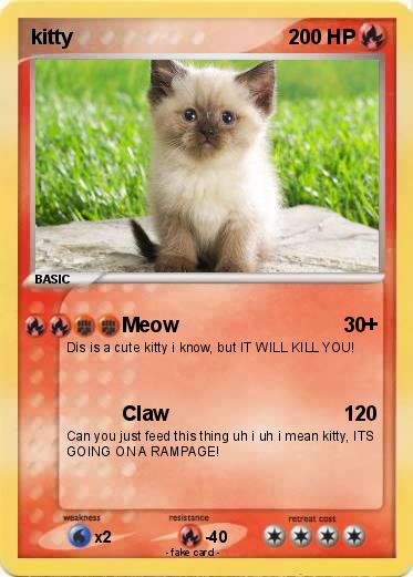 Pokemon kitty