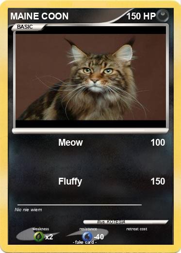 Pokemon MAINE COON