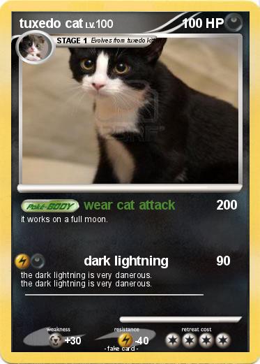 Pokemon tuxedo cat