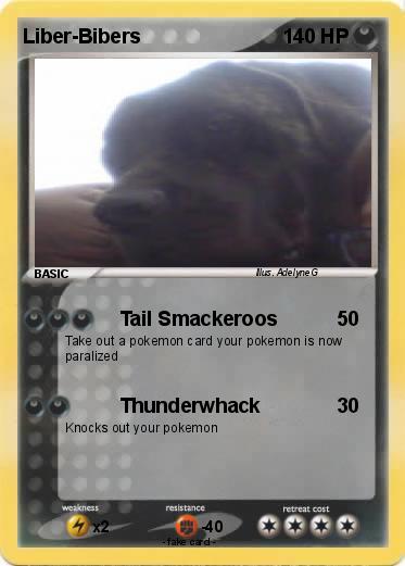 Pokemon Liber-Bibers